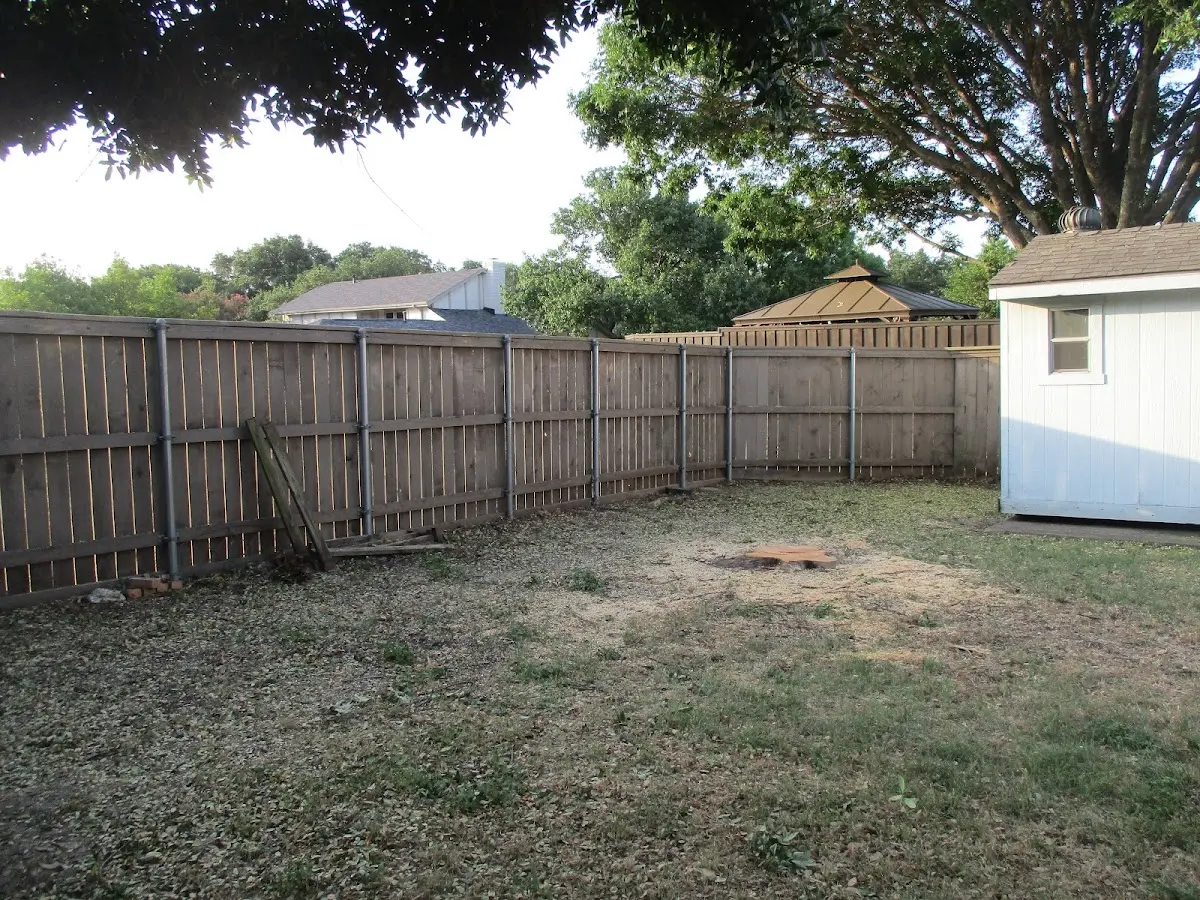 Cleared yard after professional tree removal in Spencer
